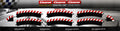 Carrera 20020563 - DIGITAL 124 /132 EVOLUTION Außenrandstreifen für Kurve 3/30