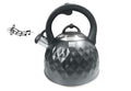 Bass Polska BH 98053 Wasserkessel Edelstahl 3l